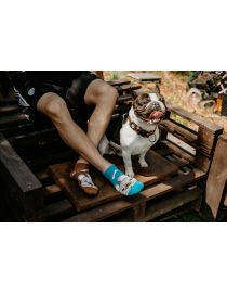 Fröhliche Bulldoggensocken – Knöchel