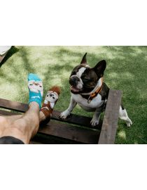 Fröhliche Bulldoggensocken – Knöchel