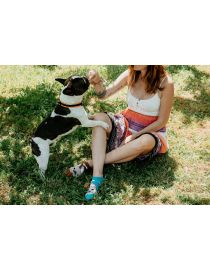 Fröhliche Bulldoggensocken – Knöchel