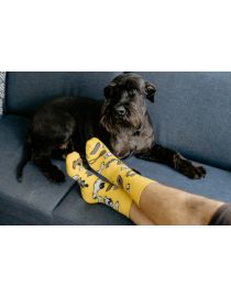 Glückliche Socken Hund