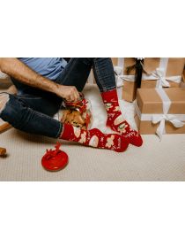 Fröhliche Socken Terry Gingerbread