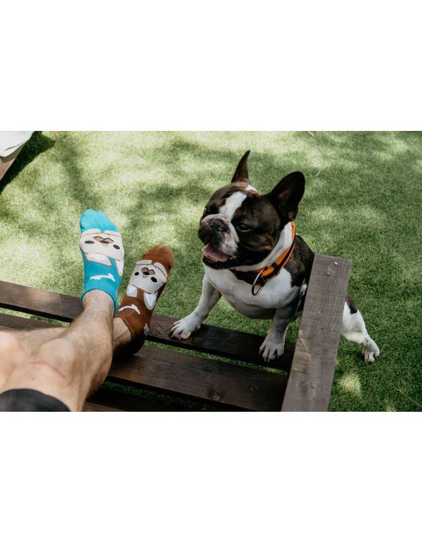 Fröhliche Bulldoggensocken – Knöchel