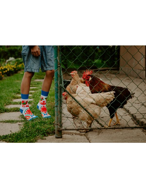 Lustige Hahnensocken – Kinder