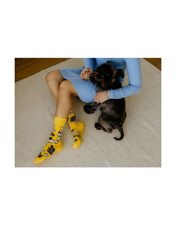Glückliche Socken Hund