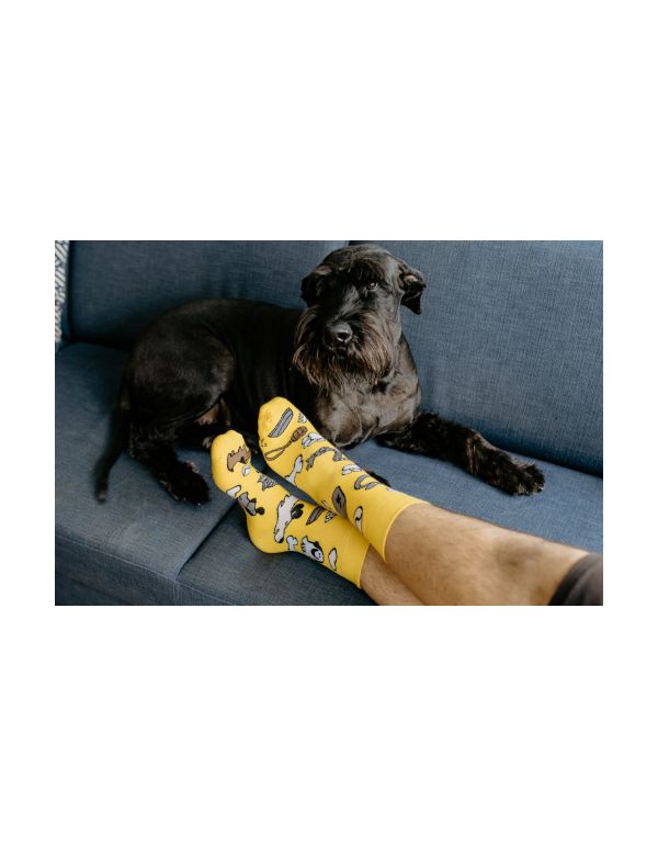 Glückliche Socken Hund