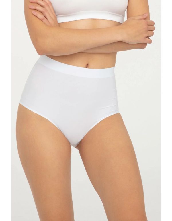 Nahtlose Slips von Brigitte Comfort